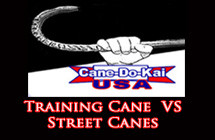 trainingcane-streetcane trainingcane-streetcane