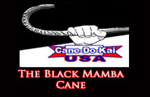 blackmambacane-featured blackmambacane-featured